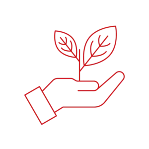 Eine Hand aus der eine Blume wächst